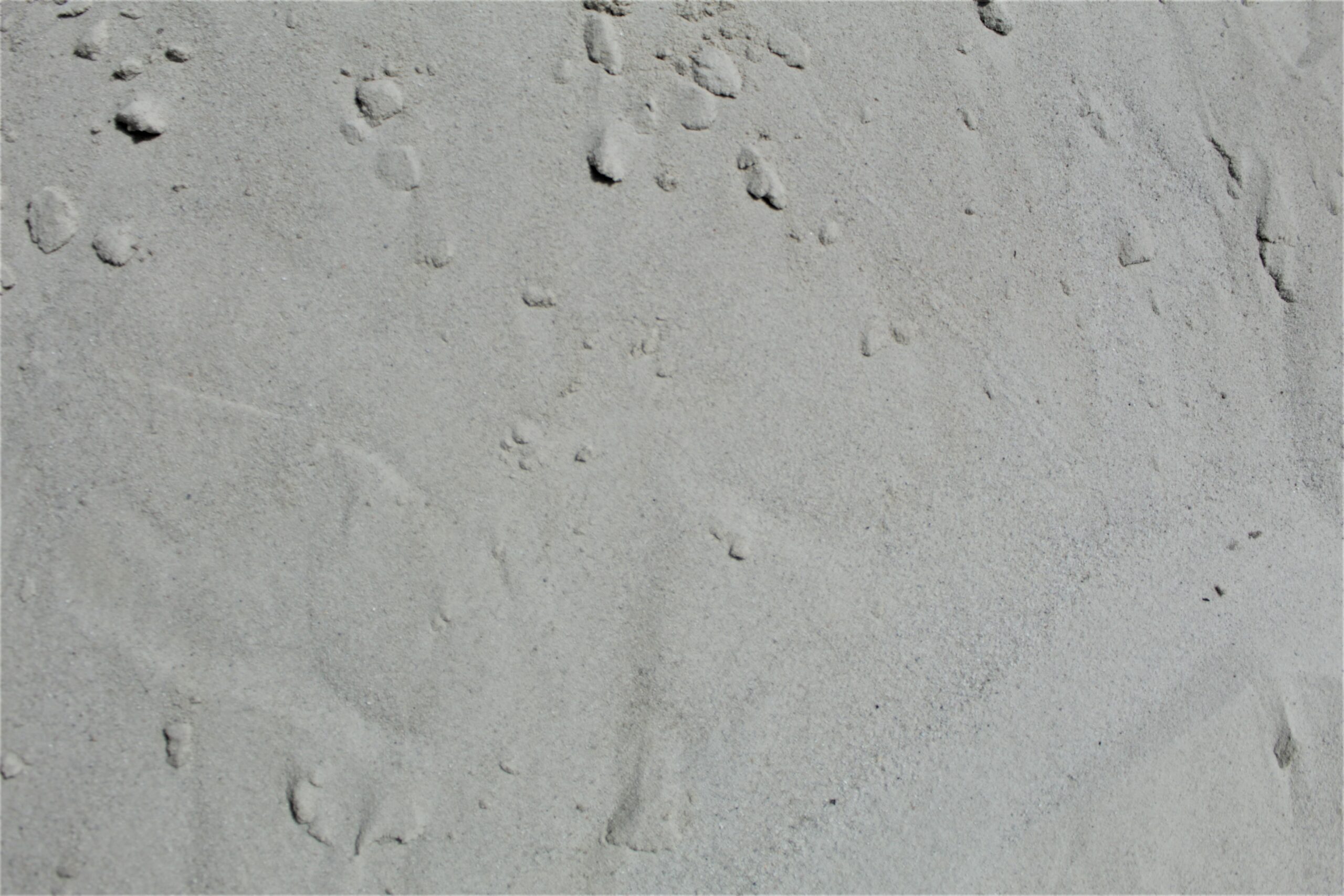 Sable (0/2)